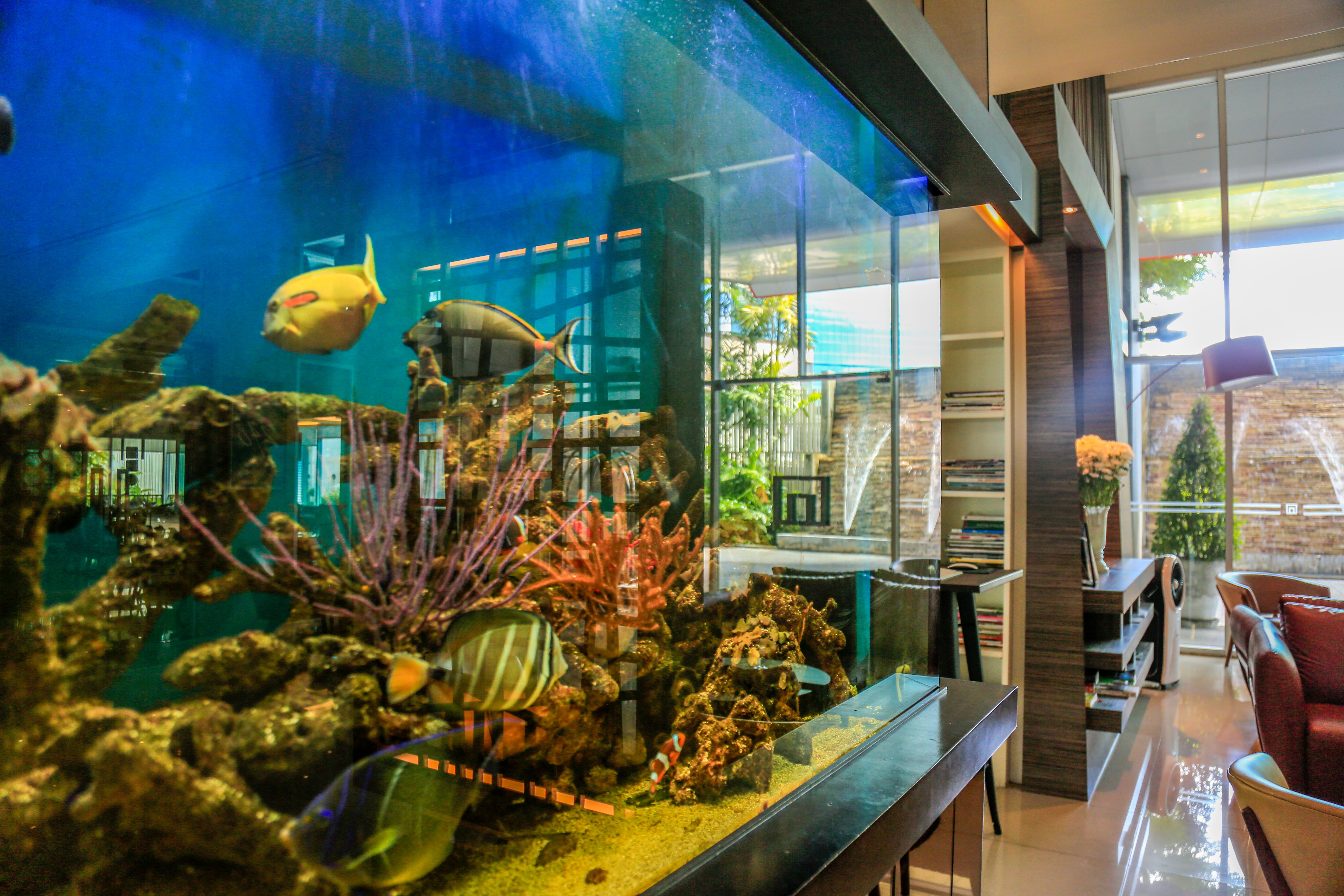 Northgate Ratchayothin Hotel Bangkok Kültér fotó